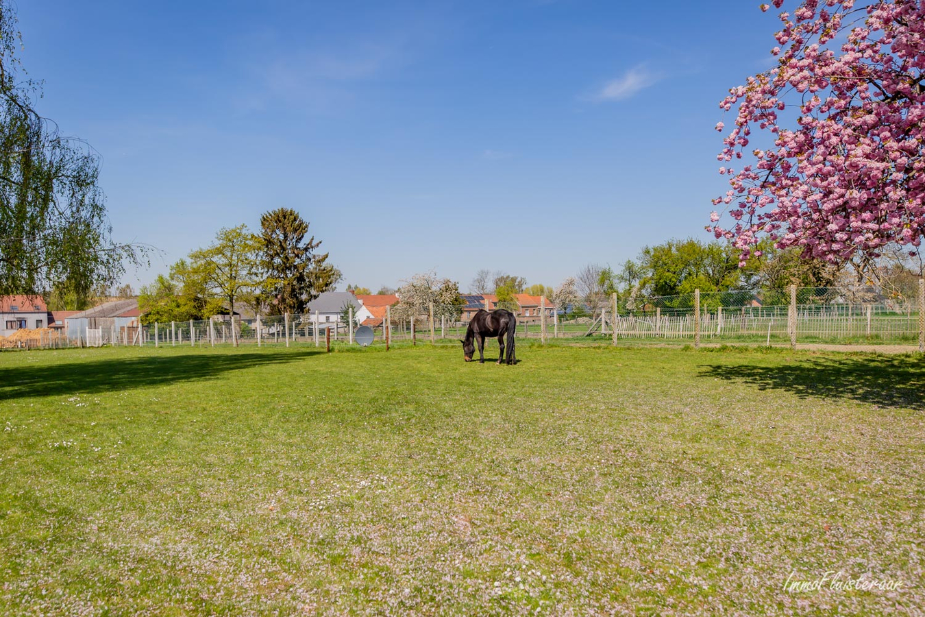Belle maison de campagne sur env. 1ha à Zittert-Lummen (Jodoigne/Brabant wallon) 