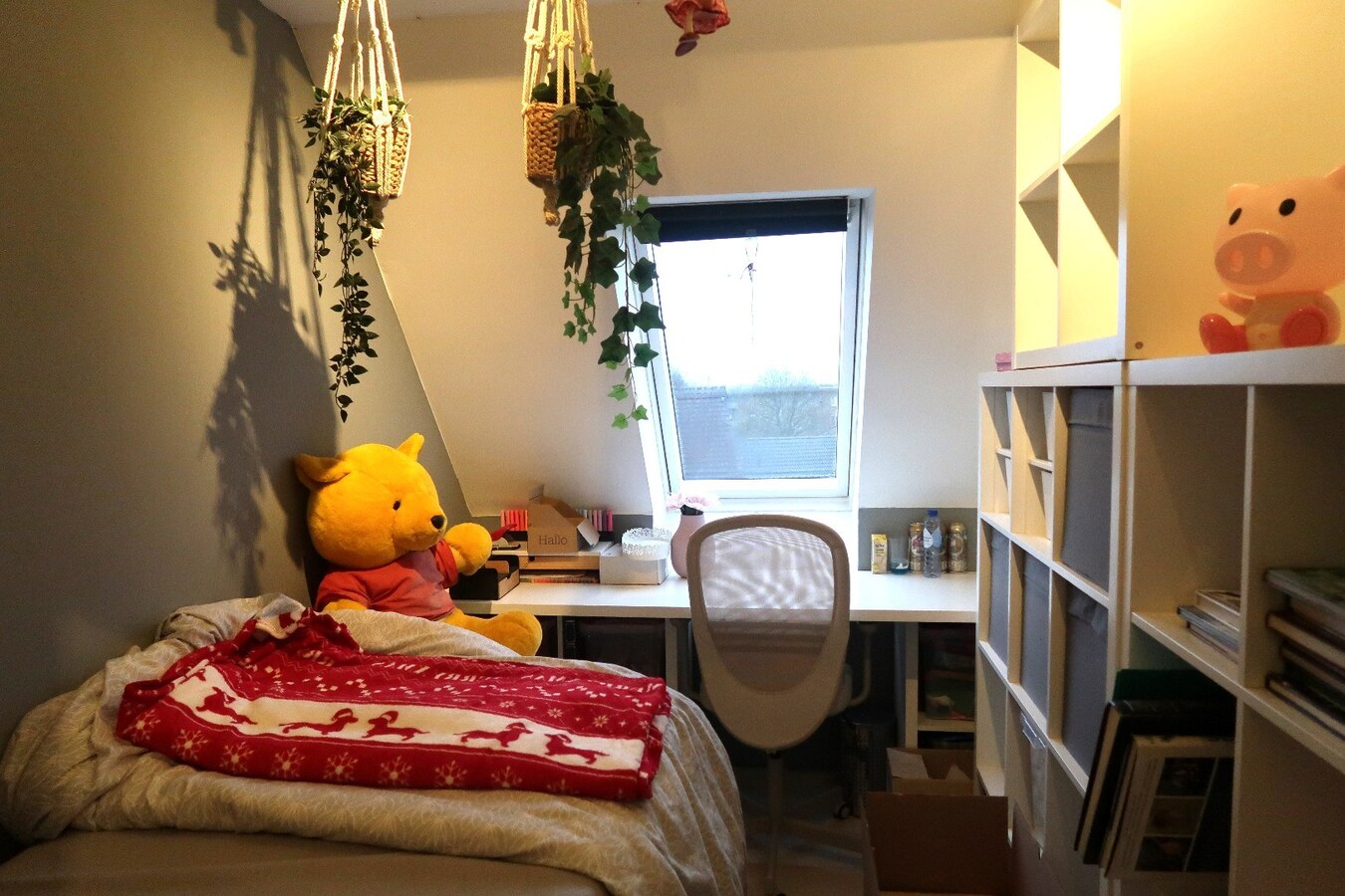 Lichtrijk duplexappartement 