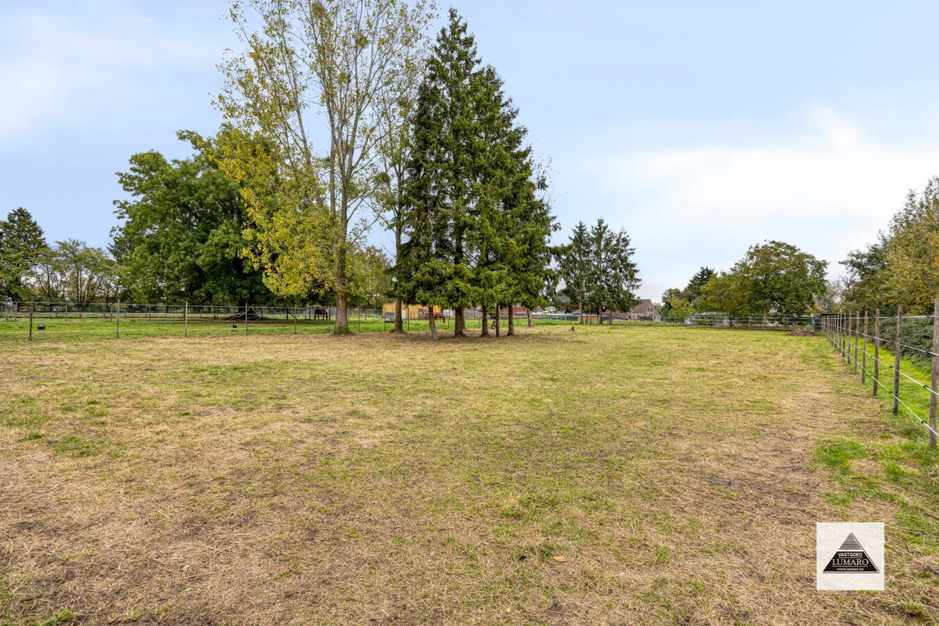 Te renoveren langgevel-hoeve op 3.536 m² in Maasdorp Boorsem 