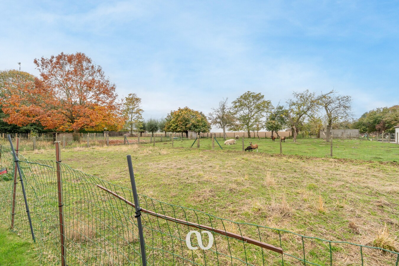 Rustig gelegen open bebouwing op mooi perceel 