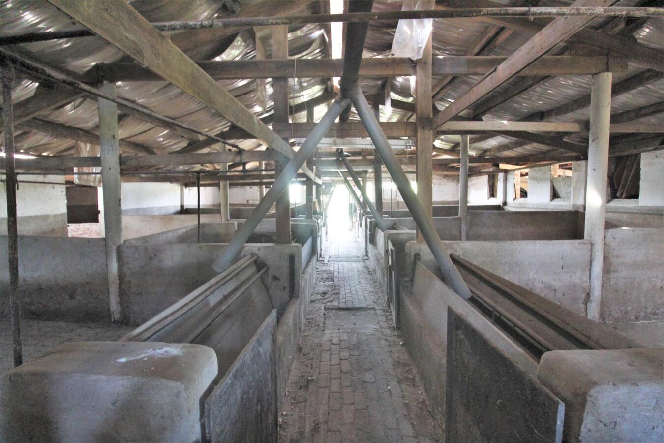 IN OPTIE - Charmante te renoveren boerderij met weiland op ca. 2,63ha te Merchtem en Londerzeel (Vlaams-Brabant) 