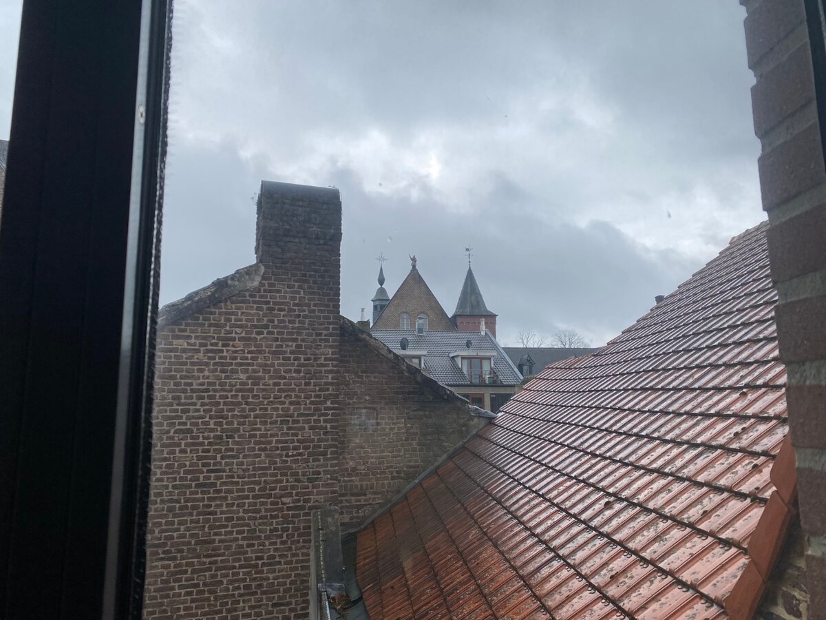 Burgerhuis 'Den Golden Naegel' - aan de Markt - lift - overdekte parking 