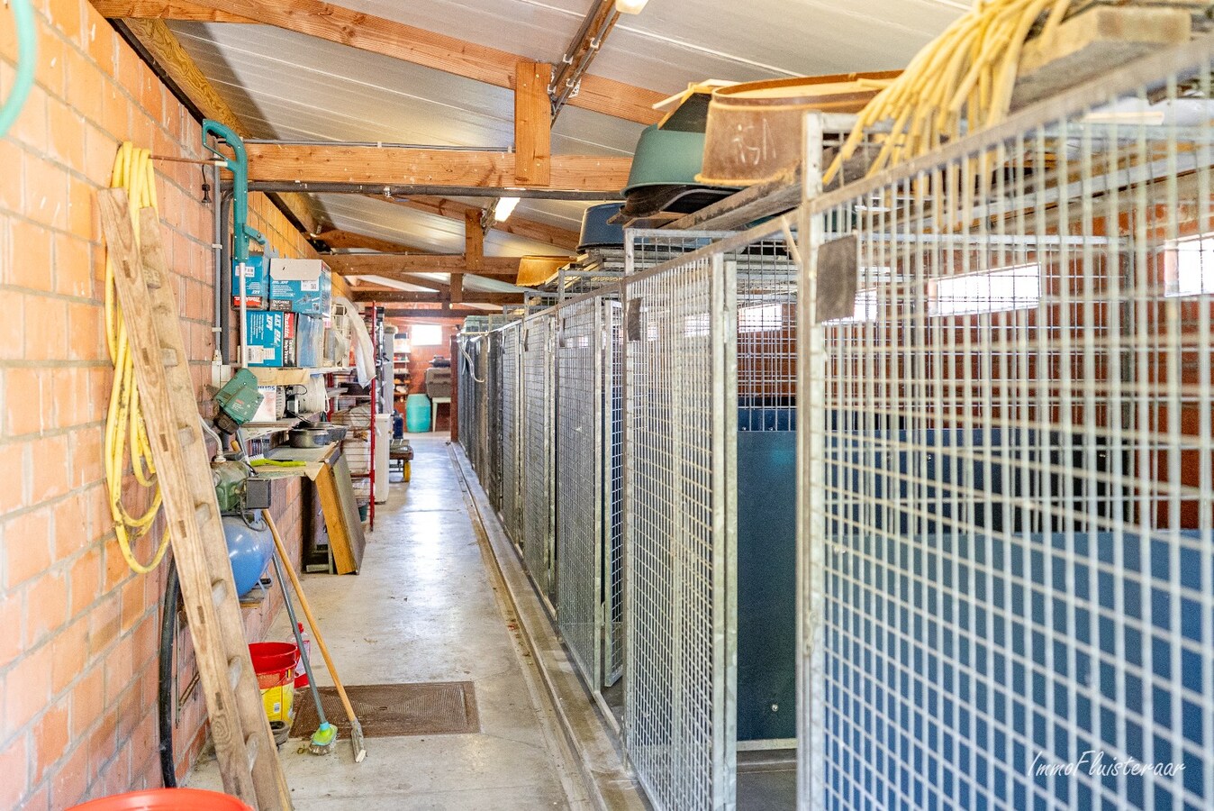 Magnifique domaine avec une villa neuve et un chenil et une pension pour chats agréés à Diksmuide 