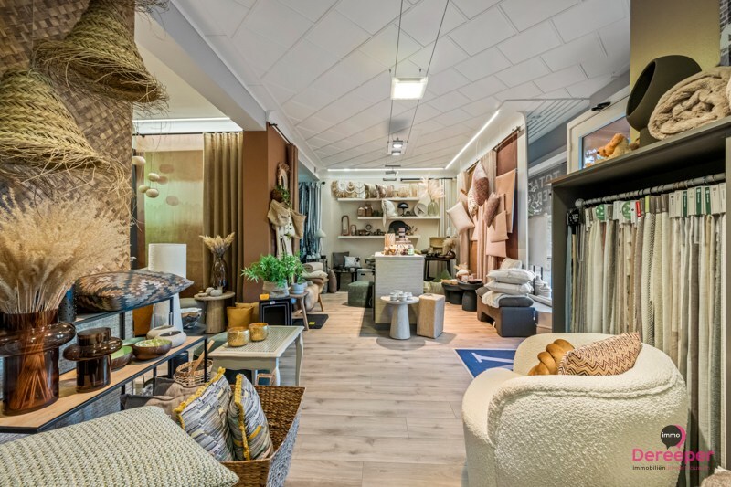 Unieke woning met handelsruimte en opslagplaats op 817m² – stijlvol wonen en werken combineren! 