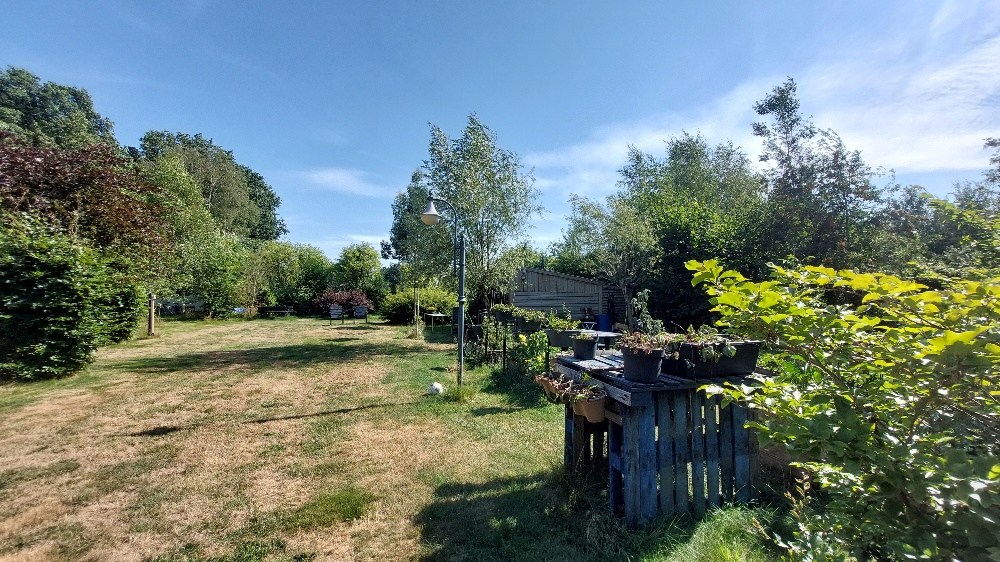 Bos te koop in Weert