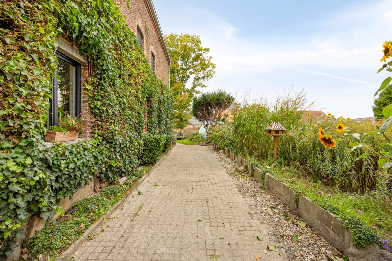 HOEVE in Hoegaarden met 5 slaapkamers (Kangoeroewoning) 