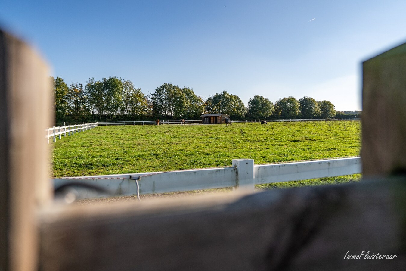 Volledig uitgeruste paardenaccommodatie op ca. 4,2 ha nabij Herentals 