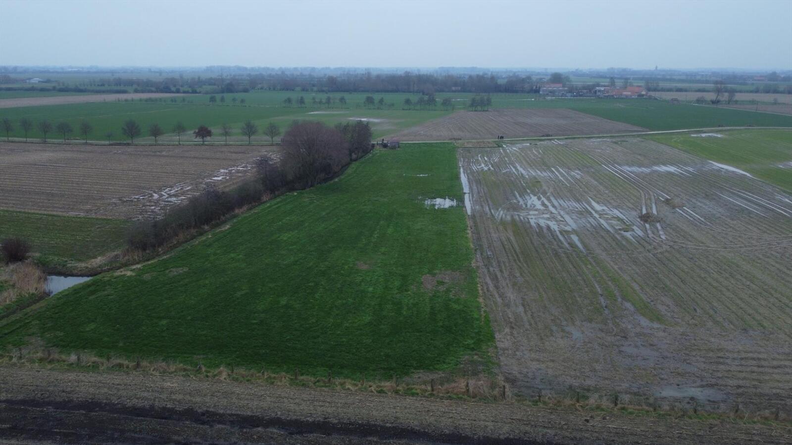 Perceel weiland, ideaal voor dierenliefhebbers 