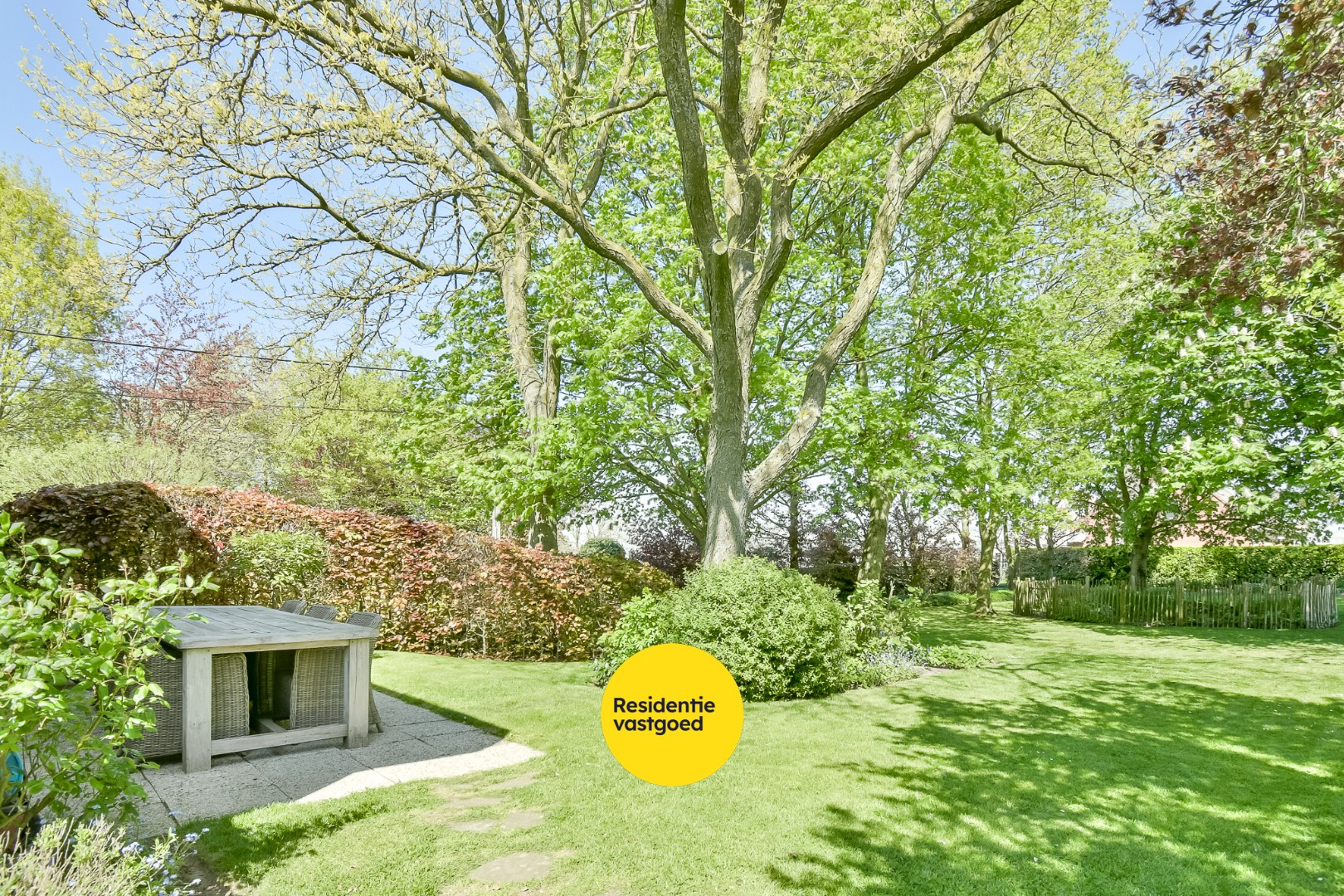 KIJKDAG zaterdag 9 mei van 10u tot 12u, op afspraak! 