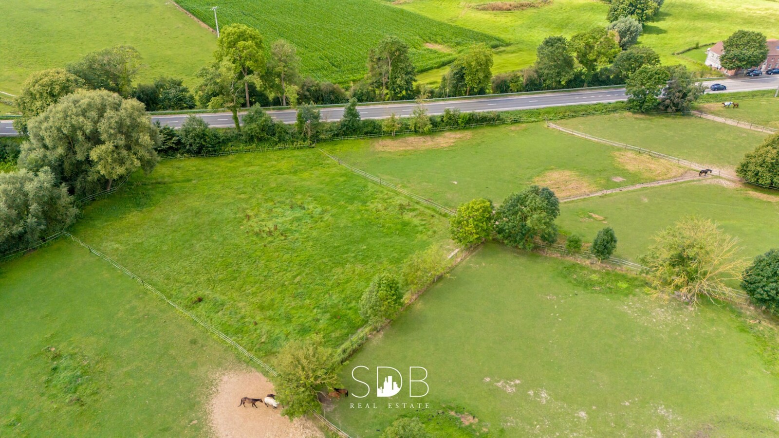 Hedendaagse woning met hippisch complex op circa 2hectare 