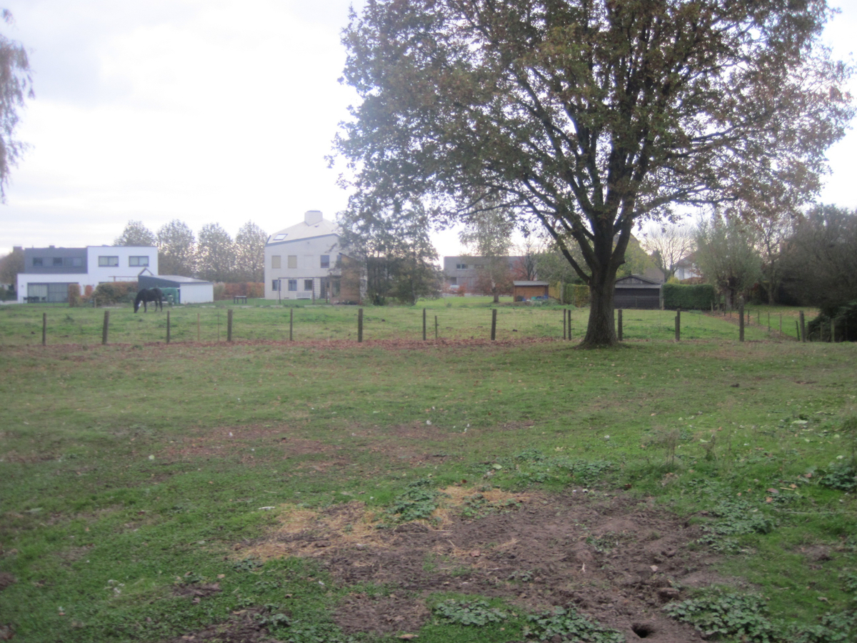 Lichtrijke bungalow - groene omgeving ! 