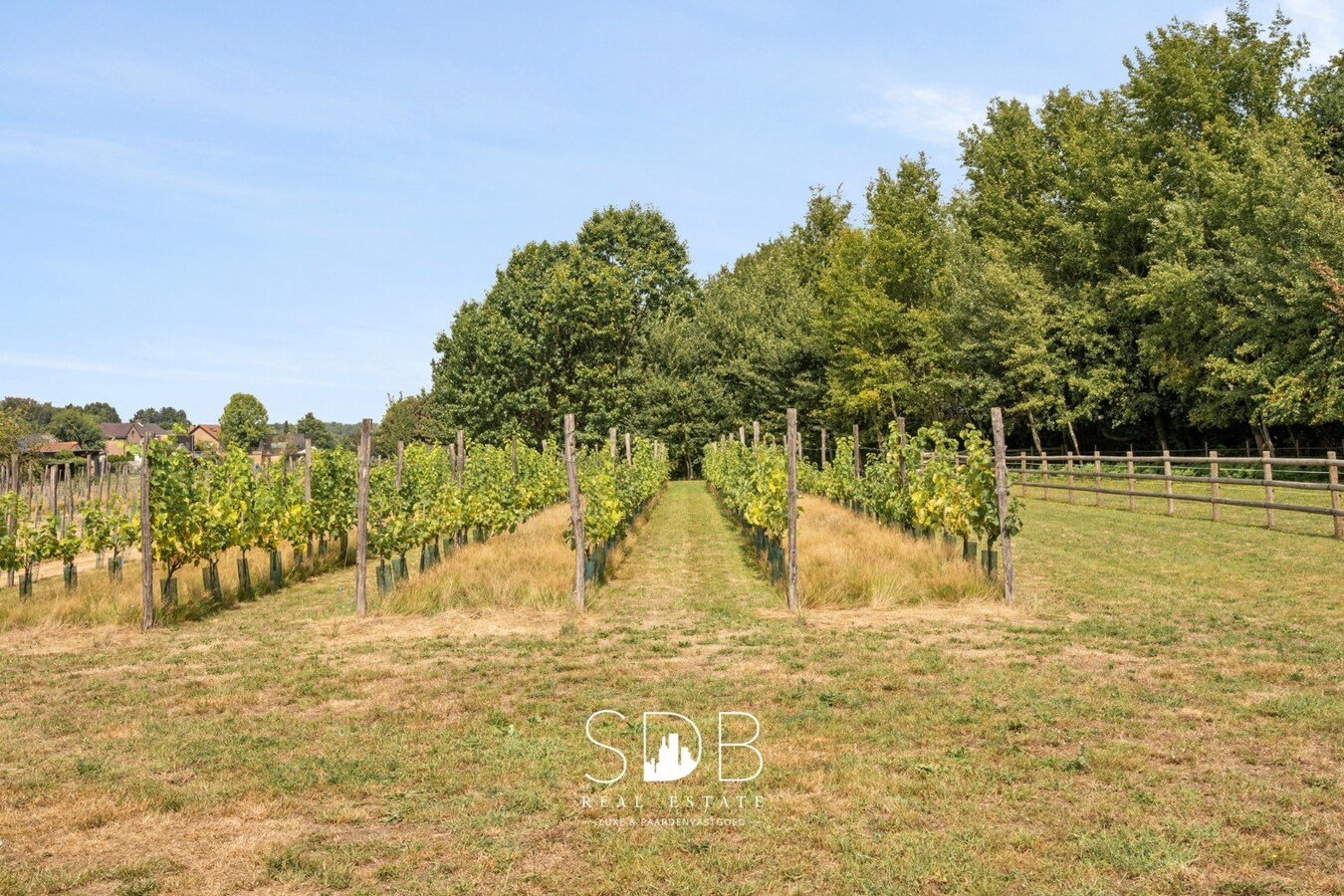 Wonen in Harmonie met de Natuur: Uw Exclusieve Landhuis op 1,5 Ha te Wachtebeke 
