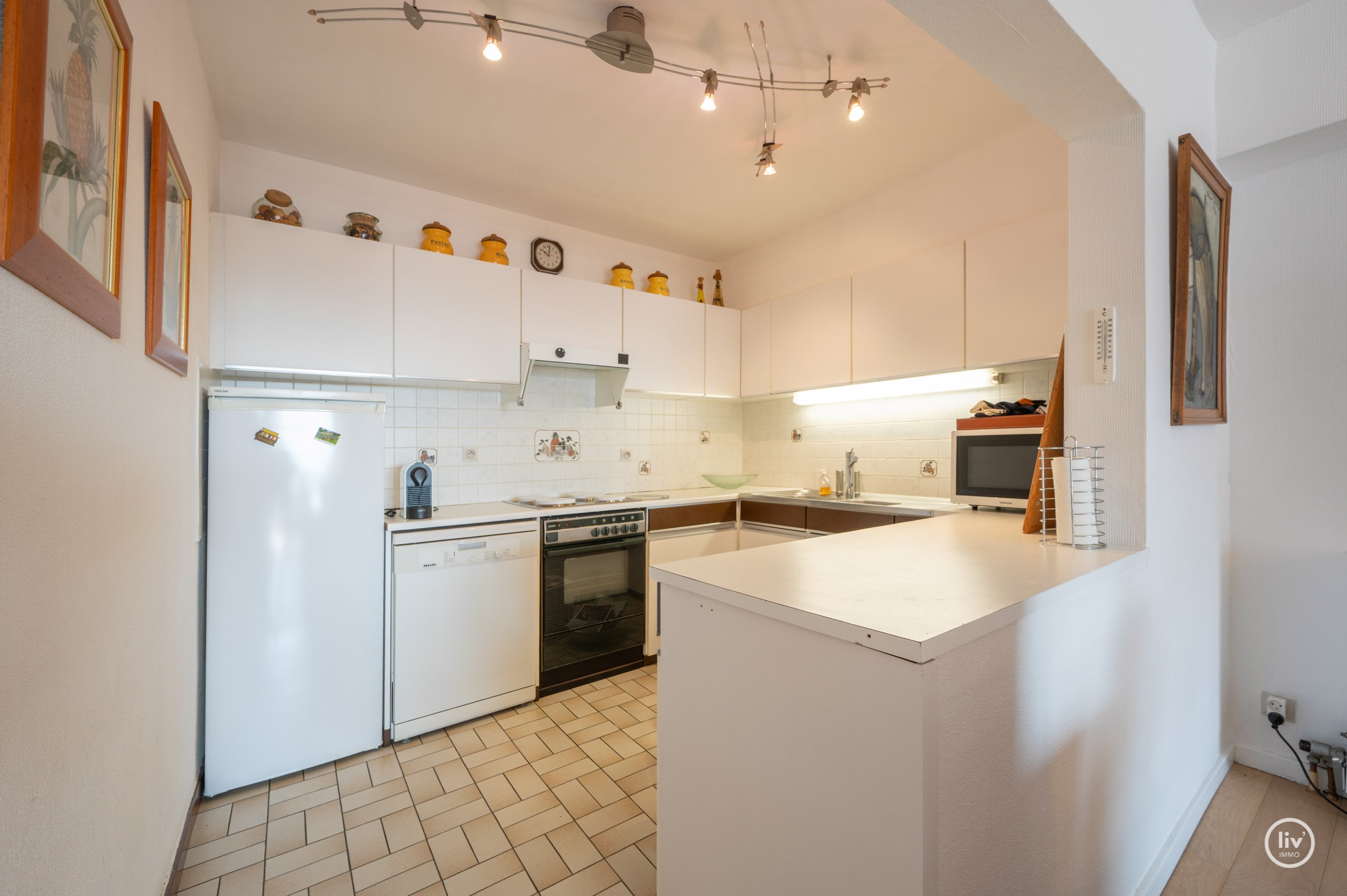Meublé: Penthouse lumineux et récemment rénové avec une grande terrasse orientée au sud de 19m2, à distance de marche de la plage et des commerces. 