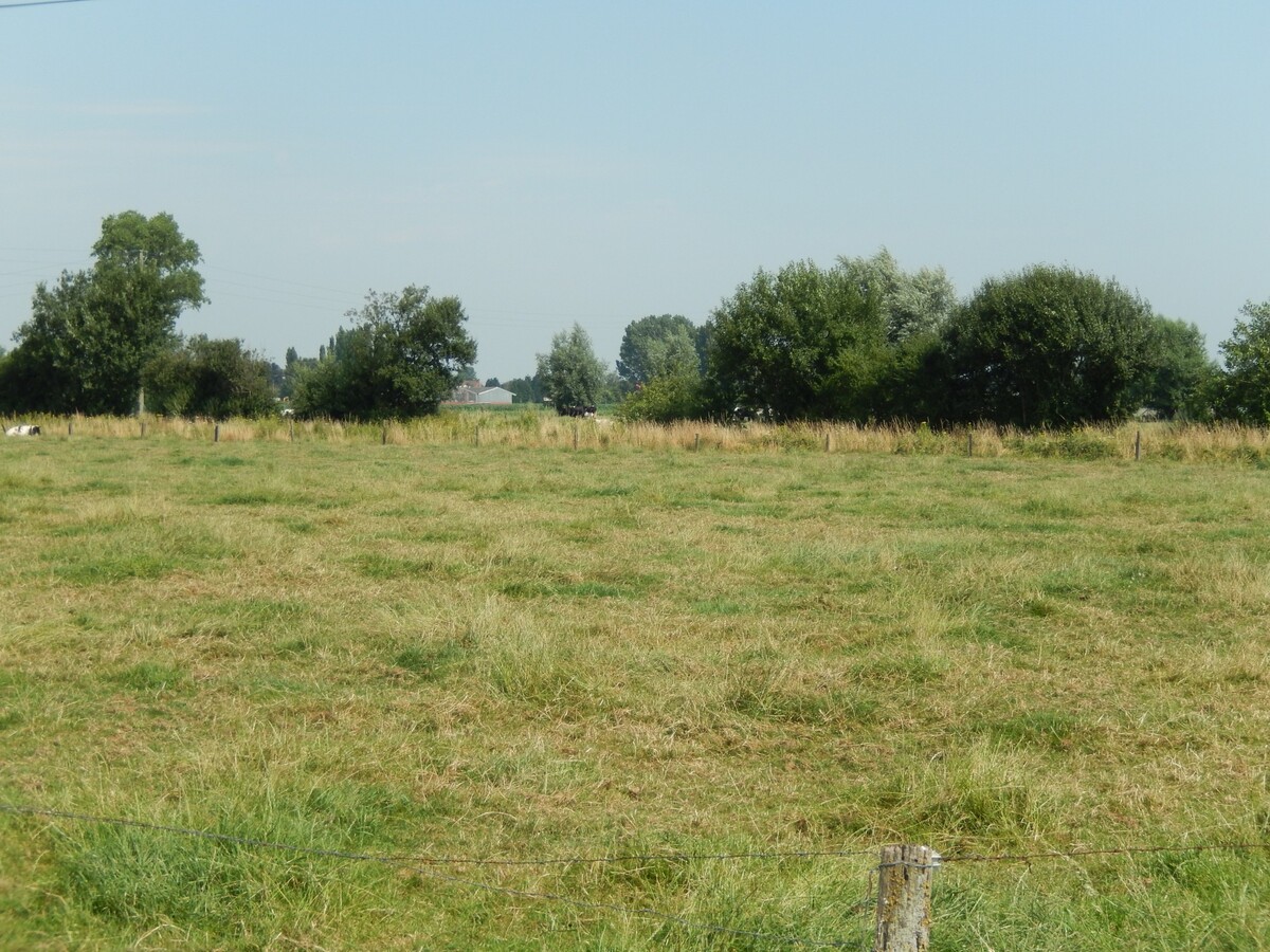Instapklare landelijk gelegen alleenstaande woning 
