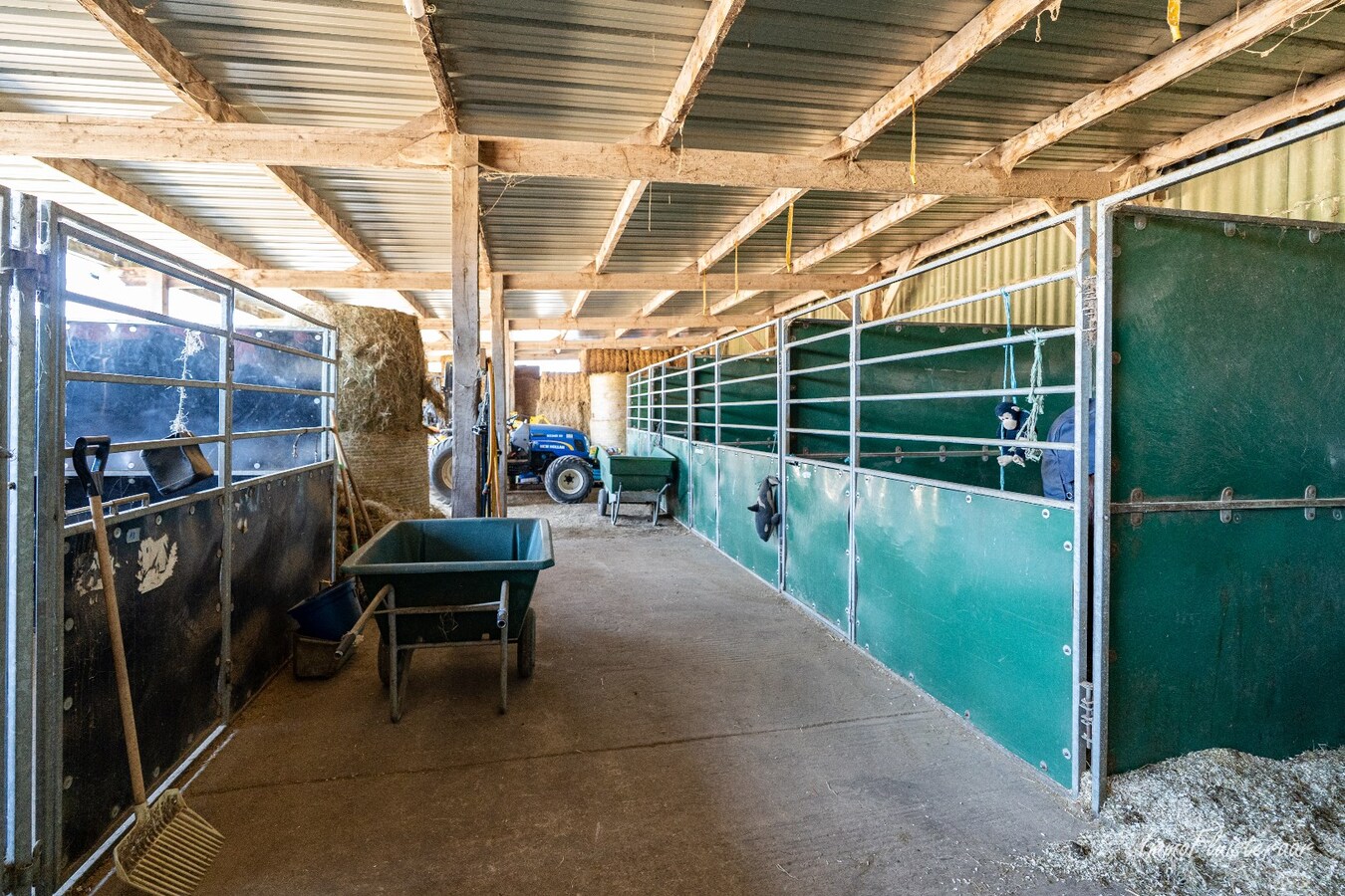 Complete paardenaccommodatie met studio op ca. 1,1ha te Bree 