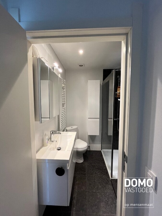 KNUS GERENOVEERD 1 SLAAPKAMER APPARTEMENT MET KELDERBERGING IN HET CENTRUM VAN HASSELT 