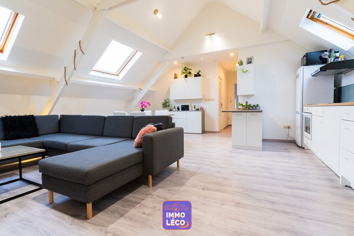 Appartement rénové, dans le centre, IDEAL investisseurs ! 