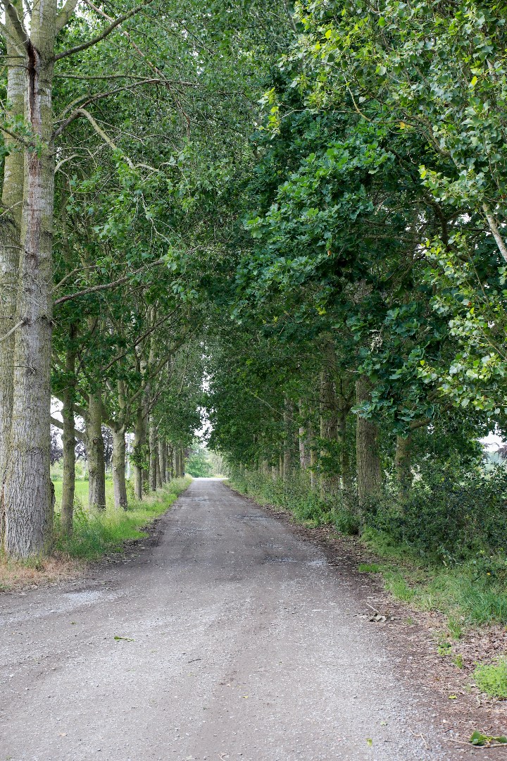 Authenthieke hoeve met bijgebouwen op een domein van ca 2,3 hectare 