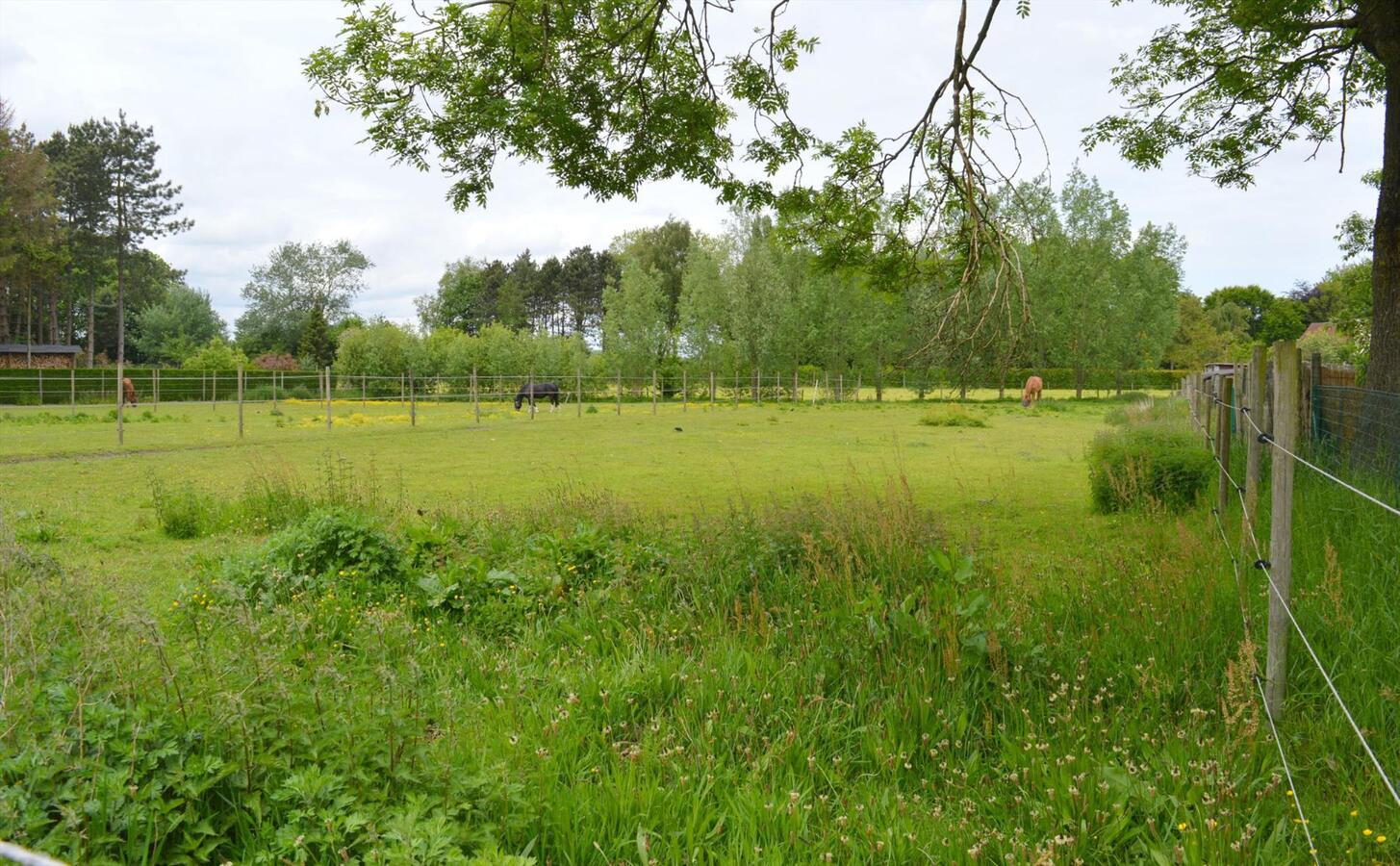 Ruime woning met stalgebouw op 6.723m² te Waarschoot 