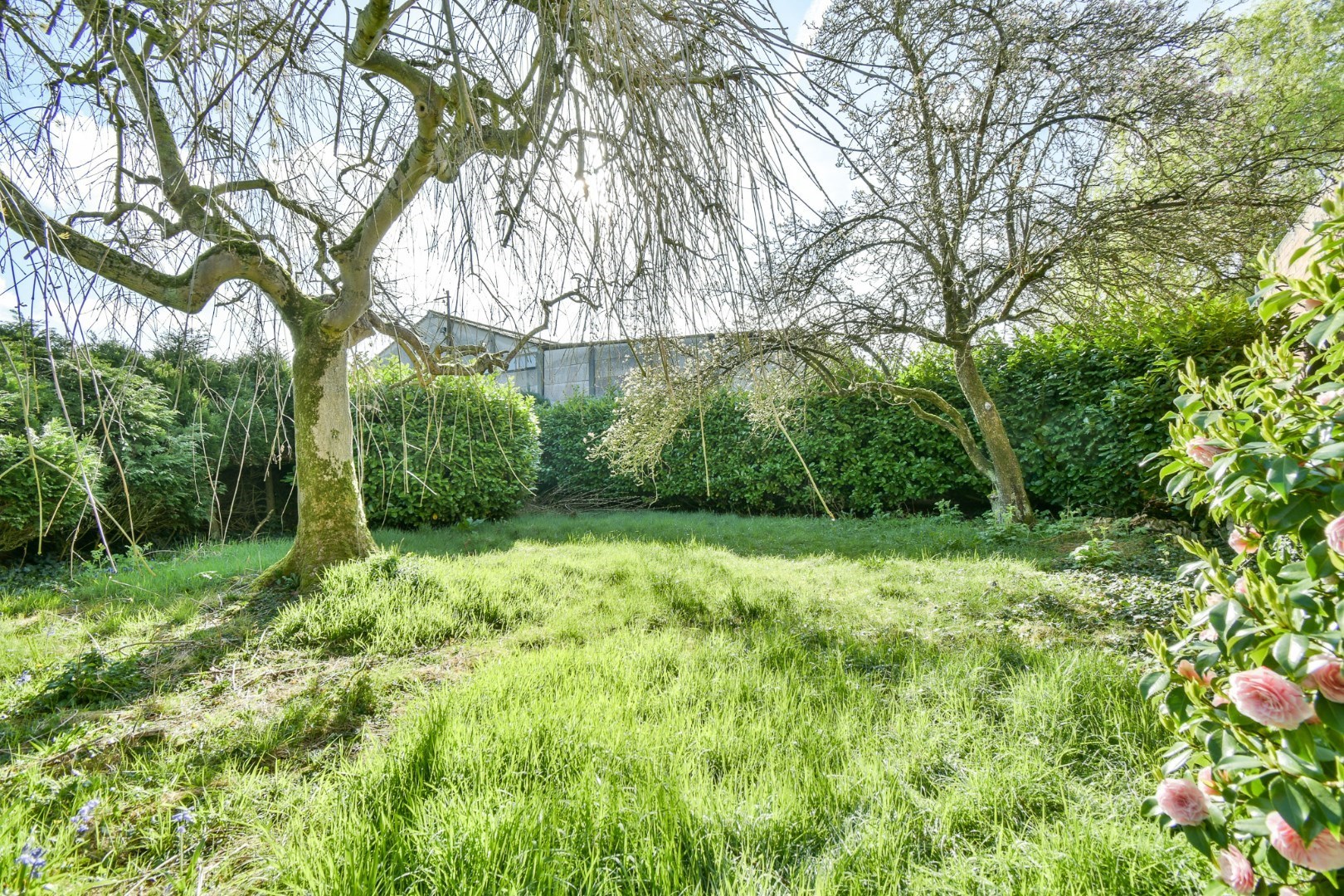 Toplocatie voor een groepspraktijk of vrij Beroepen! 