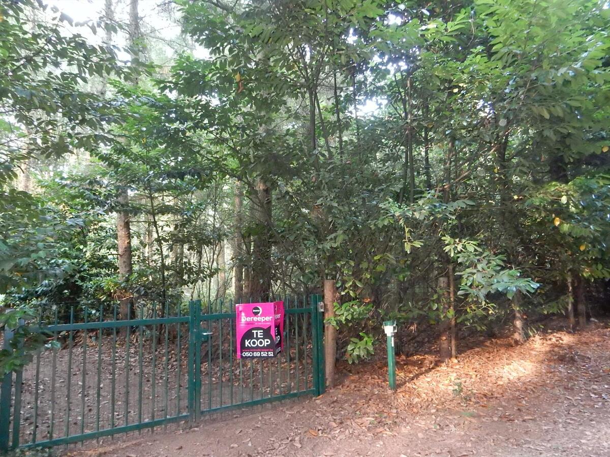 Verkocht - Grond - Snellegem