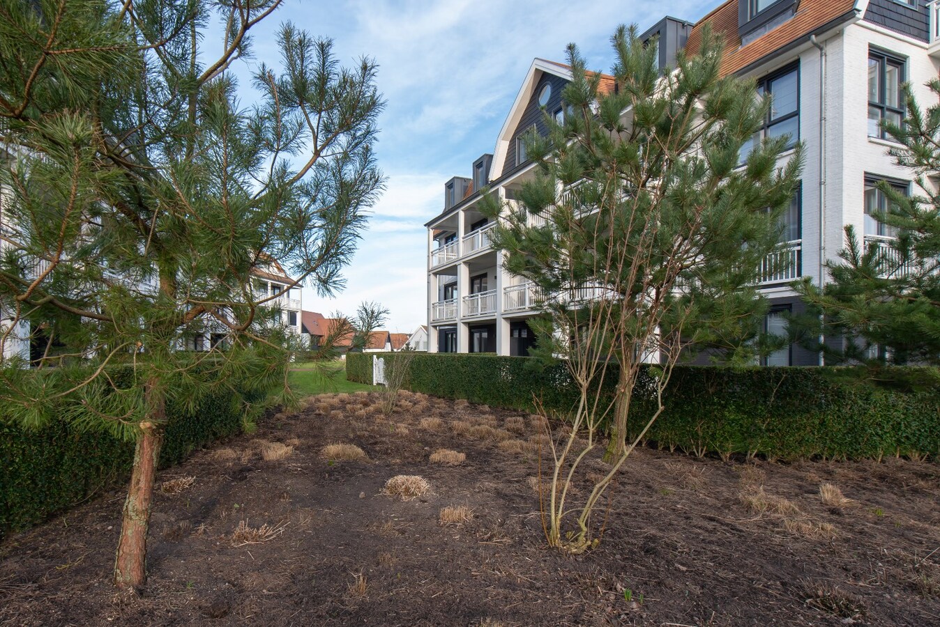 topbelegging in Cadzand 