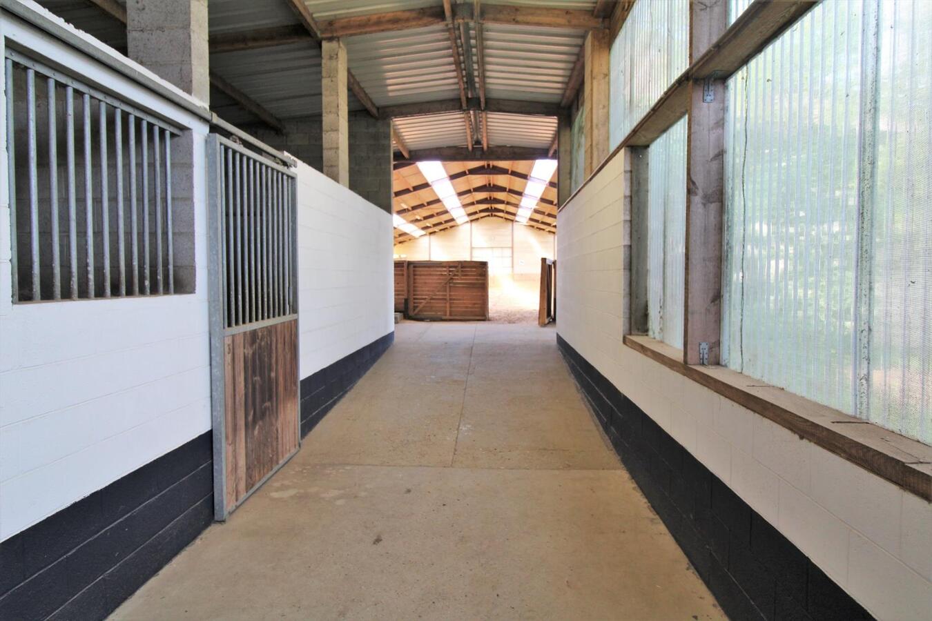 Maison avec centre équestre et appartement supplémentaire sur environ 1.3ha à Hannut (Liège) 