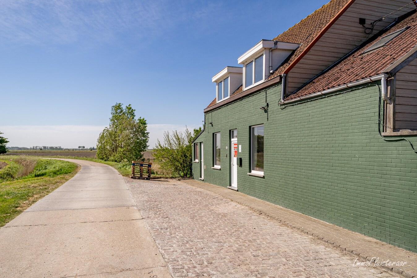 Magnifique domaine avec une villa neuve et un chenil et une pension pour chats agréés à Diksmuide 