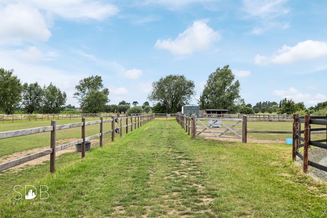 Hedendaagse woning met paardenfaciliteiten op circa 1,5ha 