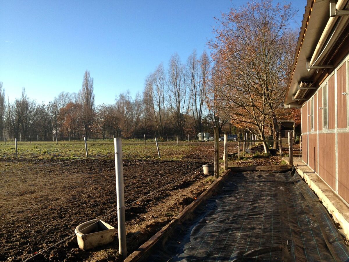 Pasture land sold in Waarloos