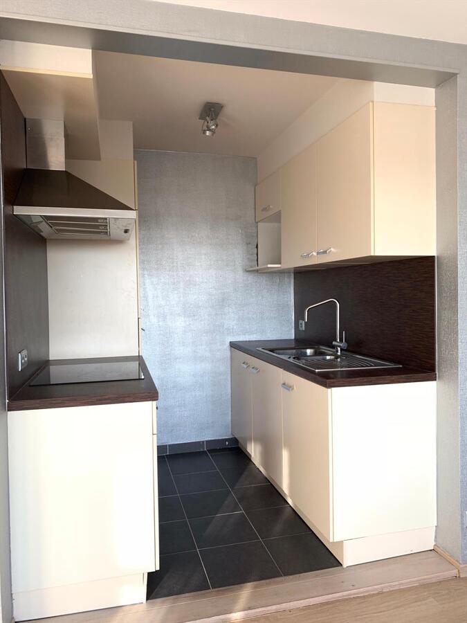 MOOIE STUDIO AAN DUINEN 