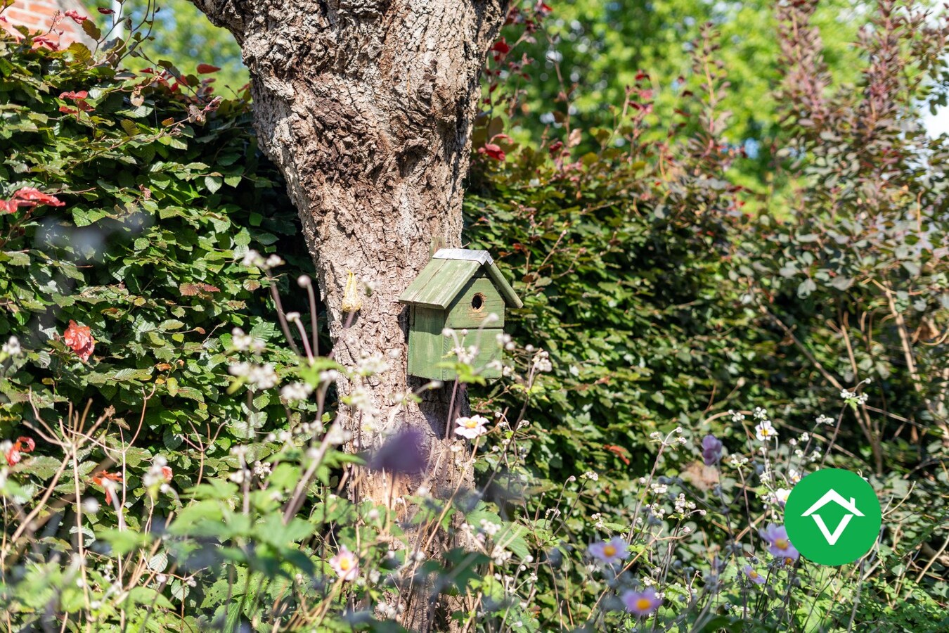 Alleenstaande woning met 3 slaapkamers te Gullegem 
