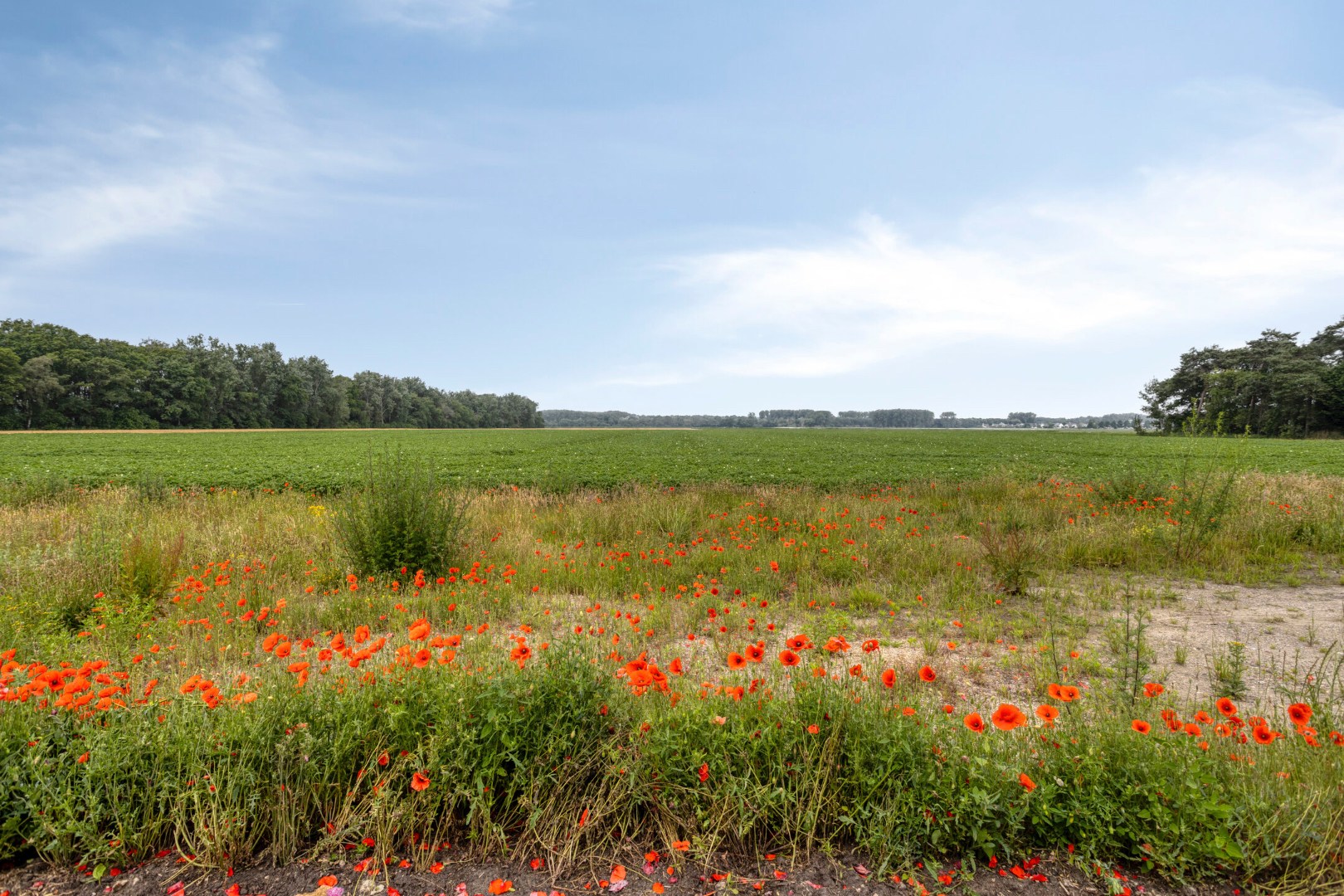 Grenzeloos wonen | Luxe villa in Clinge, Nederland 