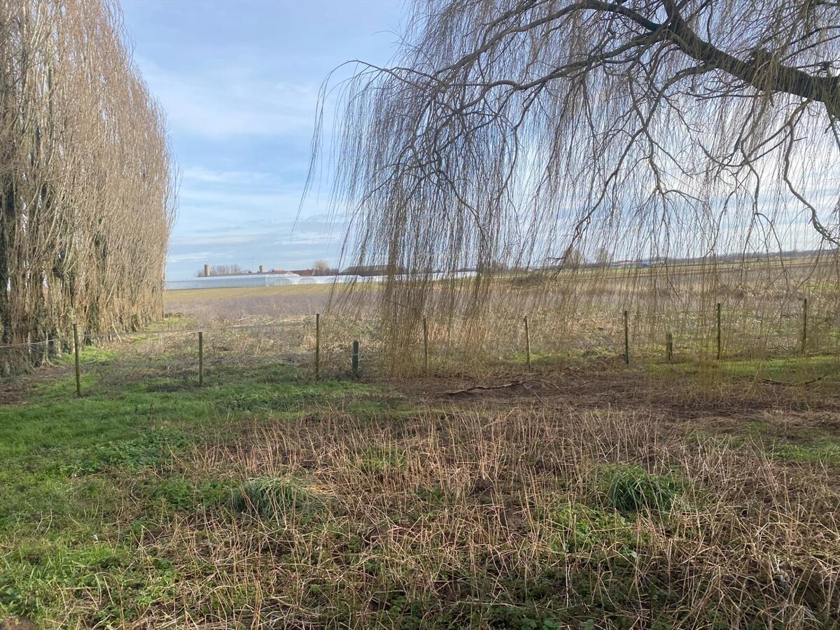 Prachtig gelegen, vrijstaande woning met landelijke vergezichten 