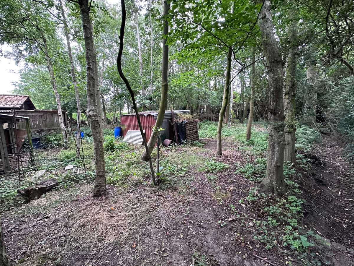 Grond te koop te Koekelare 