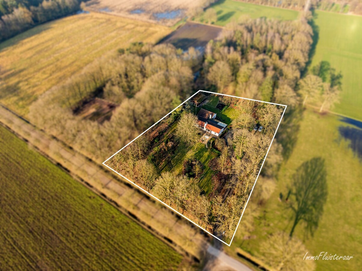 Idyllische woning midden in het groen op 7.085 m2 te Turnhout 