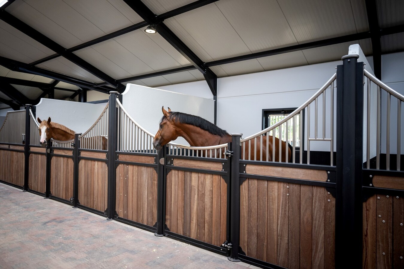 Exclusive professional equestrian accommodation (new construction) with villa on approximately 9 hectares in Neerpelt. 