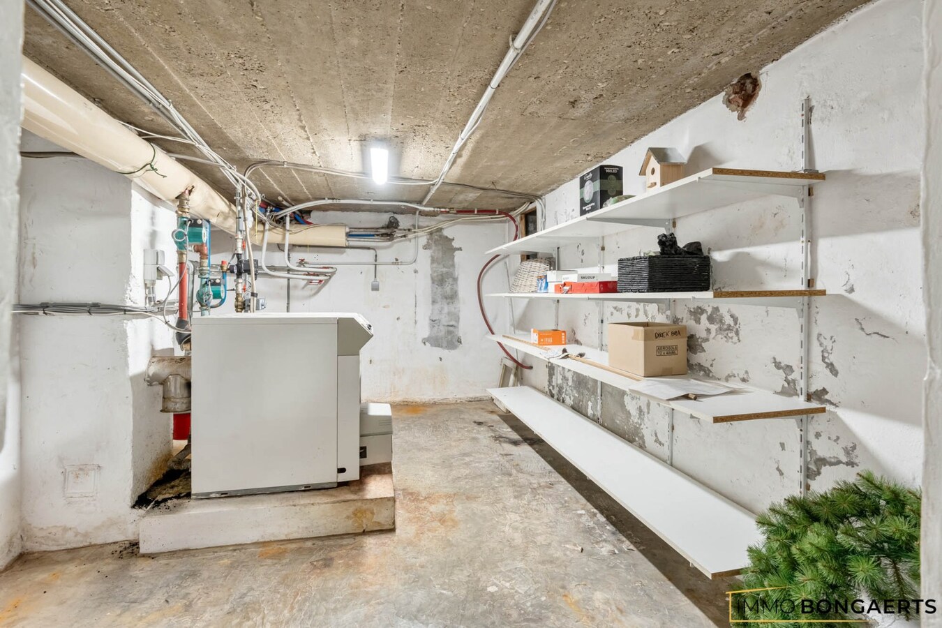 Gerenoveerde woning op een ruim perceel in Opglabbeek 