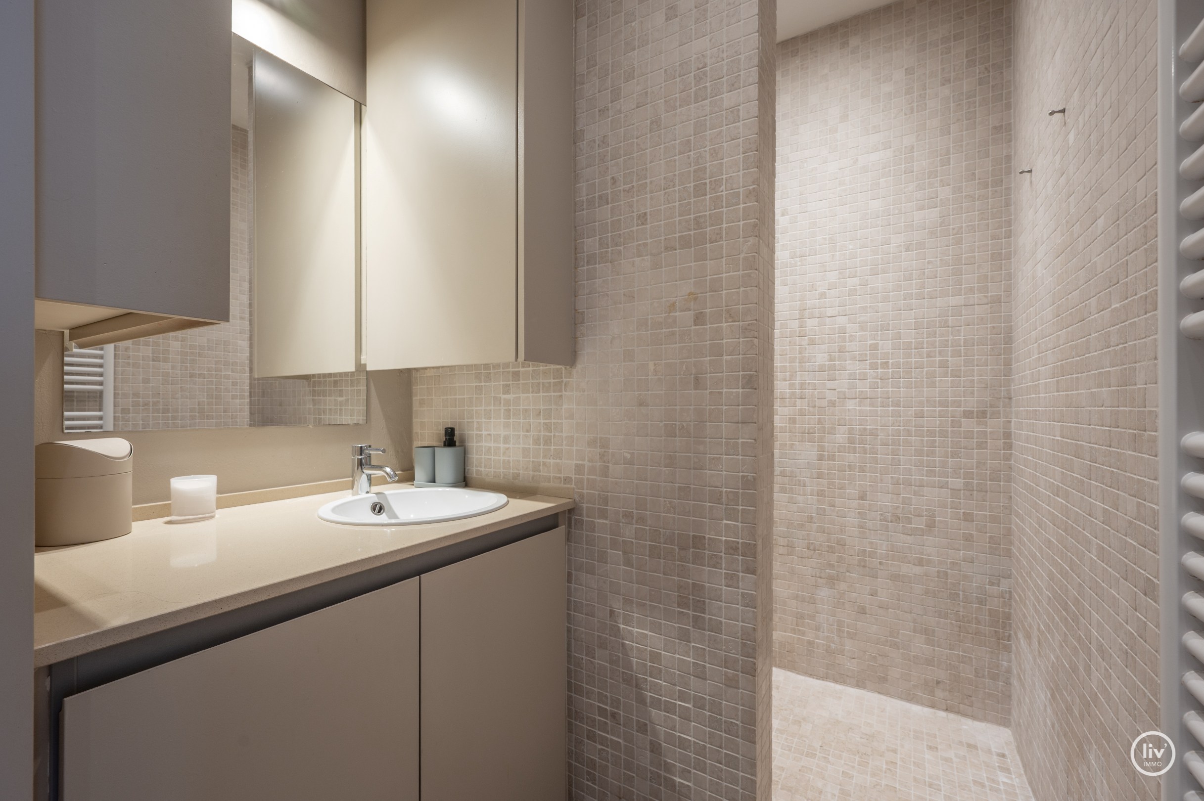 Gezellig appartement vlak bij de Lippenslaan met zicht op het groen. 