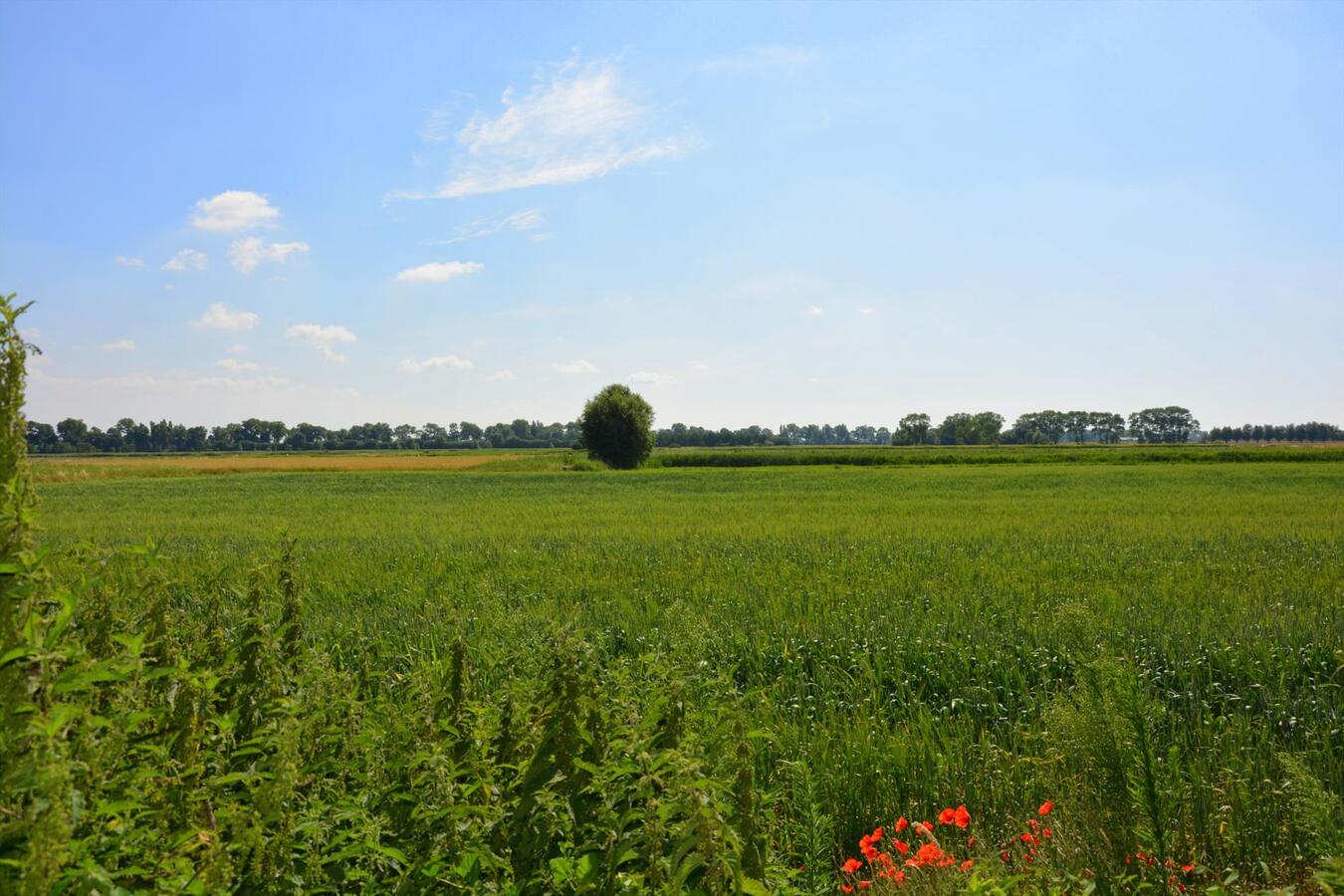 Ruime woning met 4 slaapkamers 