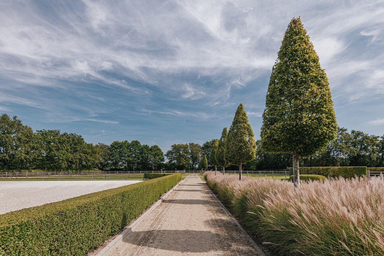 Exclusive equestrian accommodation on approx. 2,5 ha/6,18 acres in Geel (Antwerp region) 