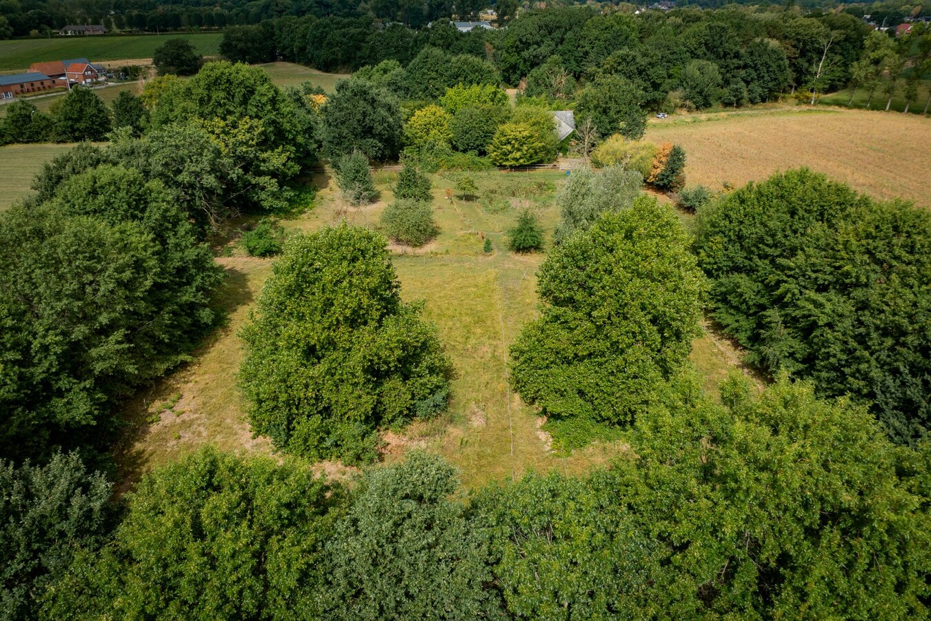 Karaktervolle hoeve met weides op ca. 2ha te Herk-de-Stad 