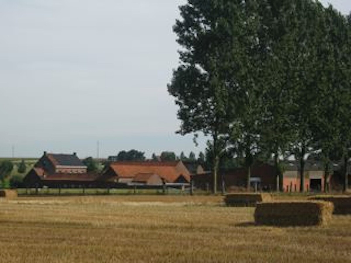 Property sold in Bogaarden