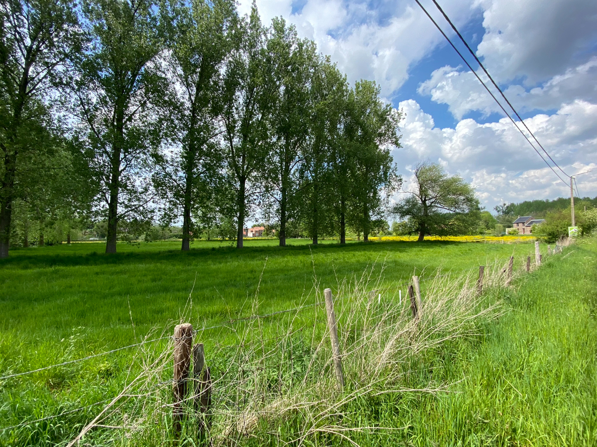 Verkocht landbouwgrond - Tongeren