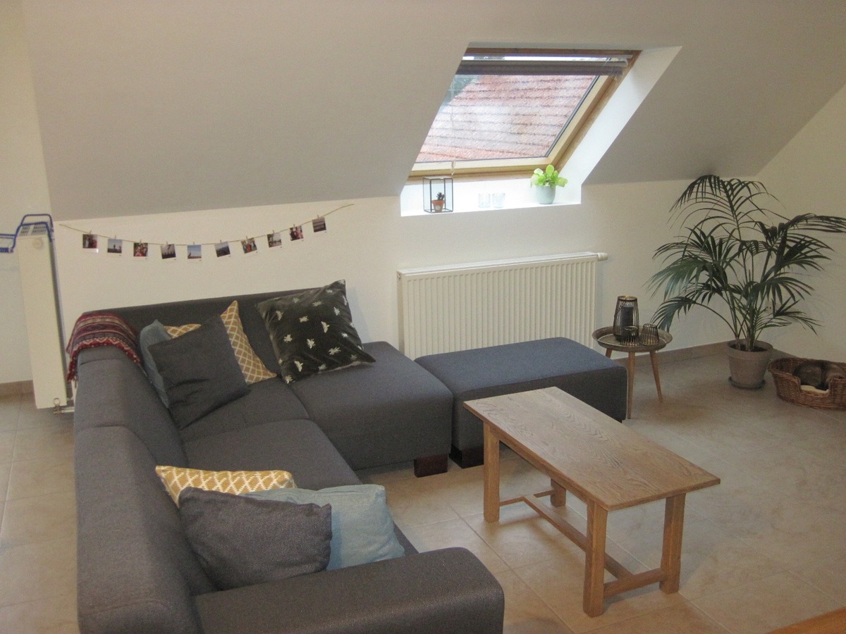 Tof en ruim 1-slp-appartement. Met terras. Met garage. 