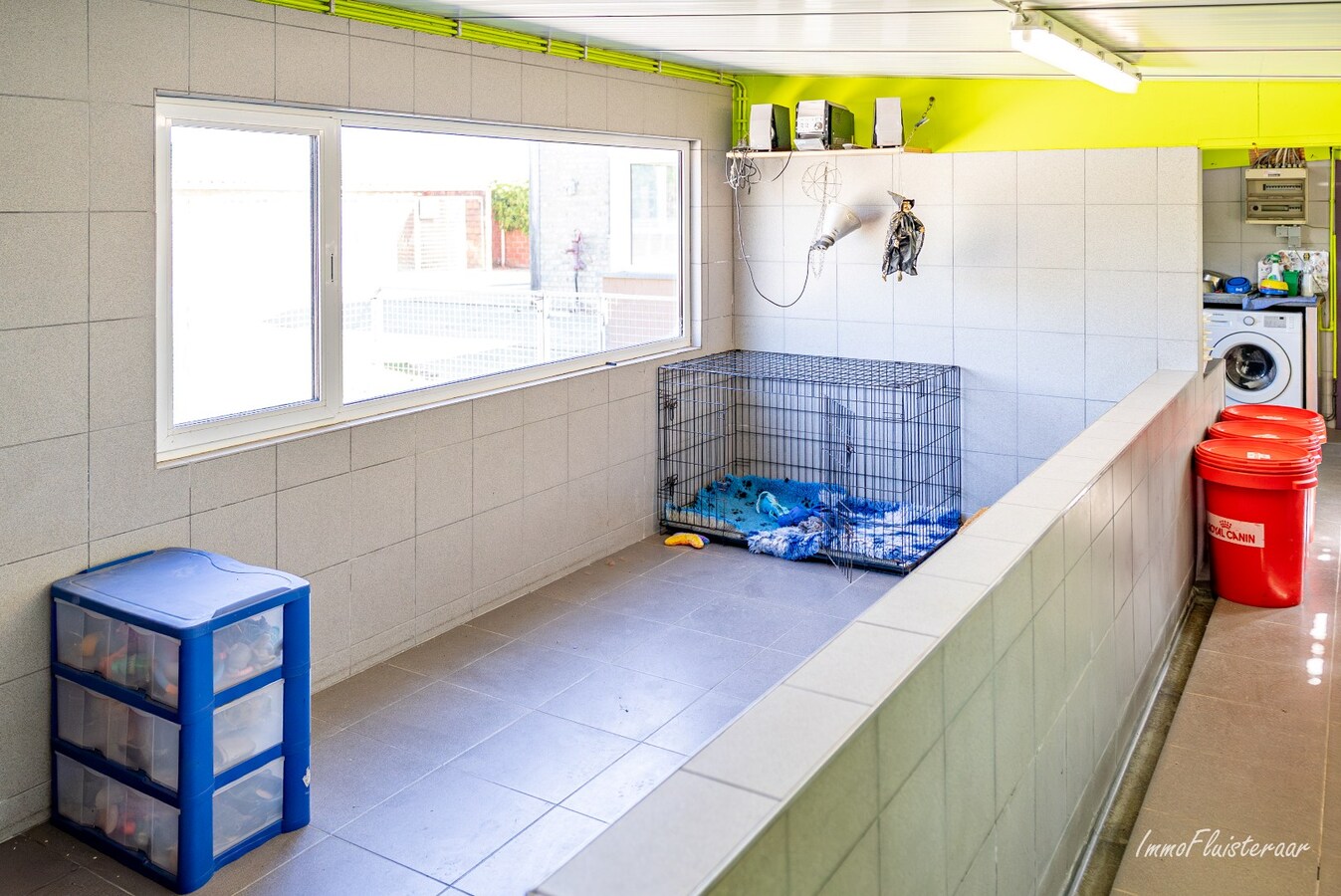 Magnifique domaine avec une villa neuve et un chenil et une pension pour chats agréés à Diksmuide 