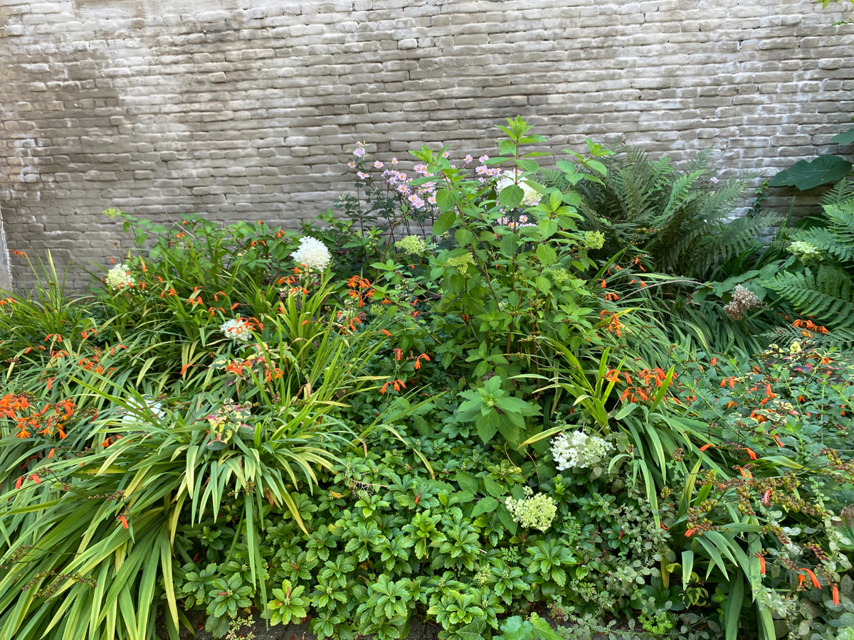 Authentieke, knusse woning. Uitstekend gelegen ! 