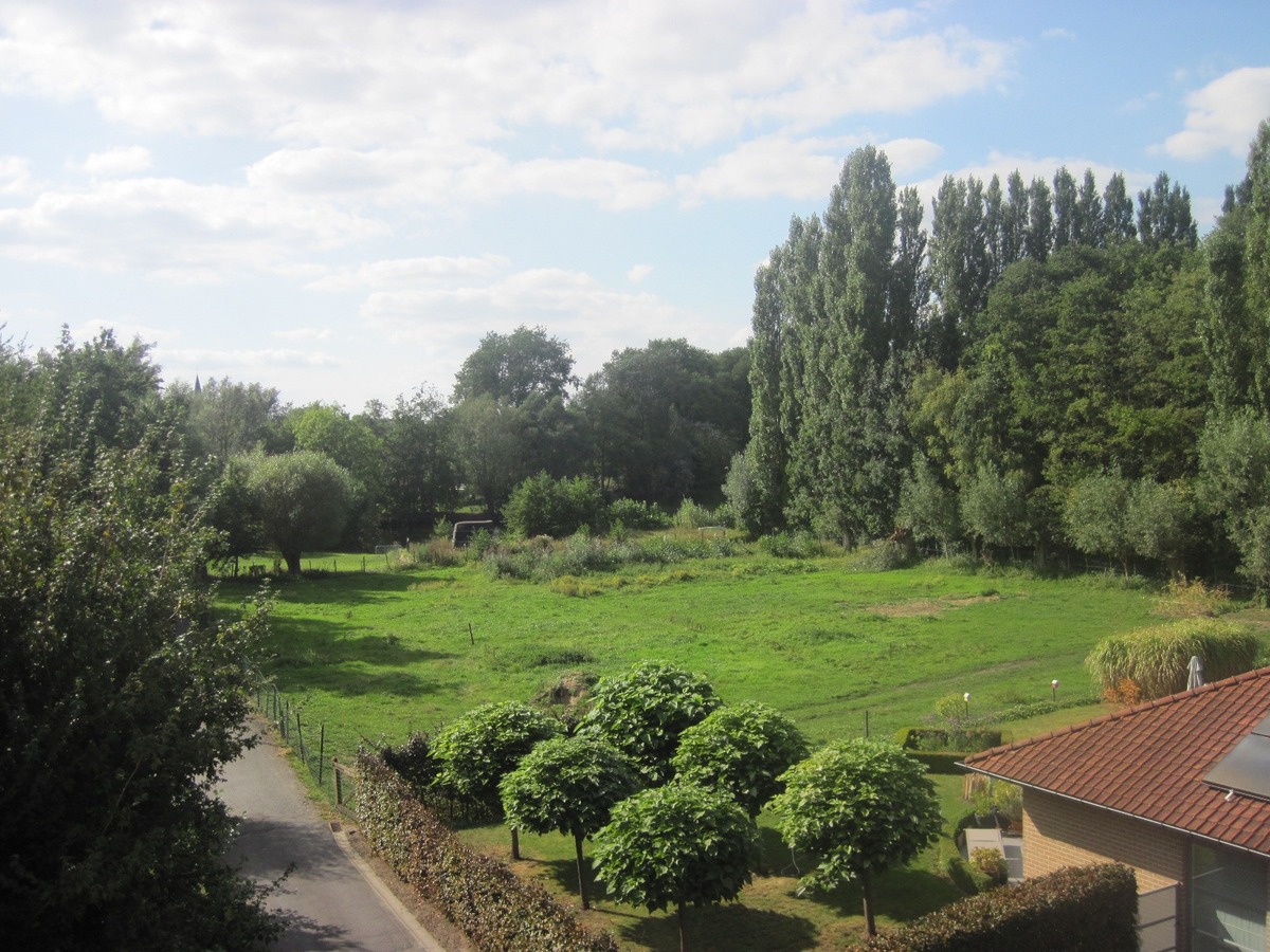Gezellig 1-slp-appartement met terras. 
