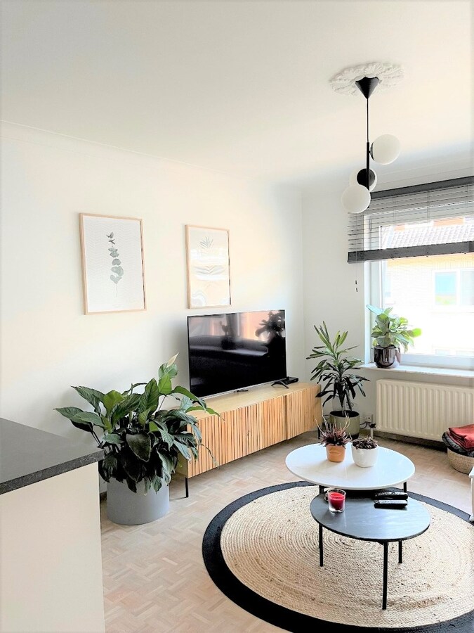 Knus gerenoveerd appartement in centrum Hasselt, vlakbij gezellige terrasjes, restaurants en winkels. 