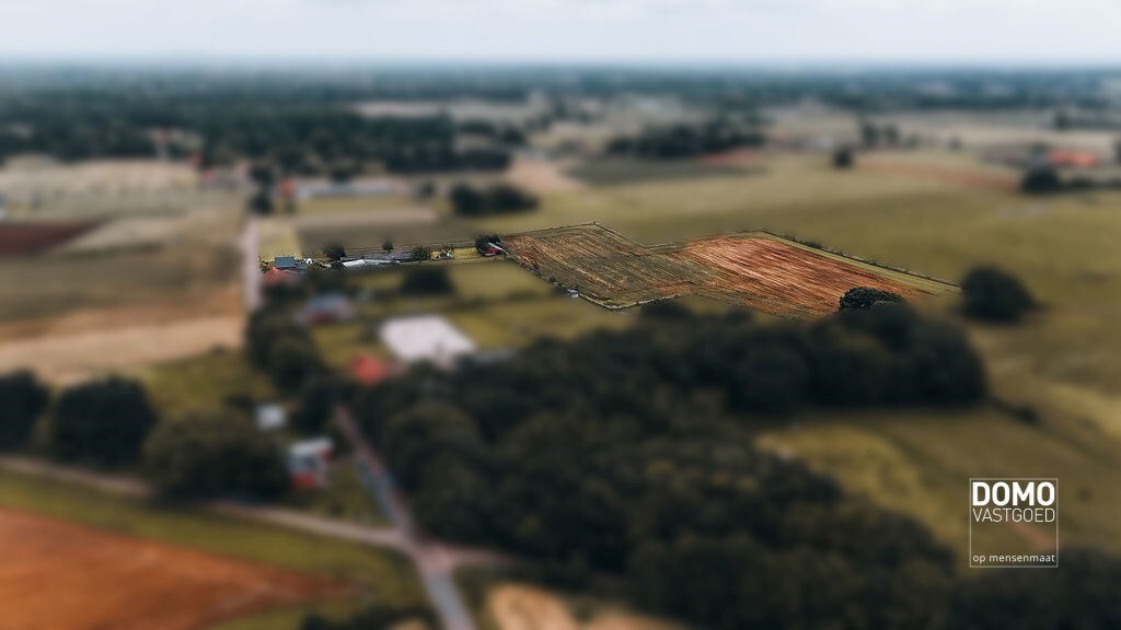 Ruime boerderij met stallingen en een prachtig groen uitzicht. 